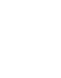 Cape Style Wines Logo